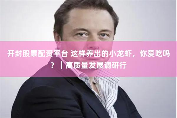 开封股票配资平台 这样养出的小龙虾，你爱吃吗？｜高质量发展调研行