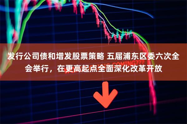 发行公司债和增发股票策略 五届浦东区委六次全会举行，在更高起点全面深化改革开放