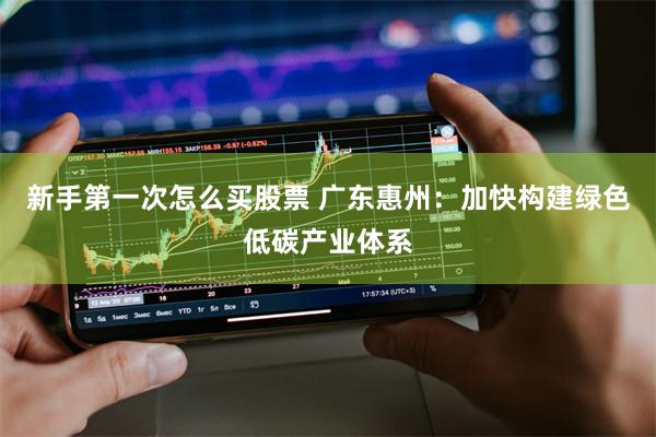 新手第一次怎么买股票 广东惠州：加快构建绿色低碳产业体系