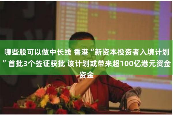 哪些股可以做中长线 香港“新资本投资者入境计划”首批3个签证获批 该计划或带来超100亿港元资金