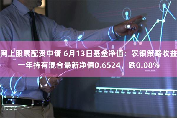 网上股票配资申请 6月13日基金净值：农银策略收益一年持有混合最新净值0.6524，跌0.08%