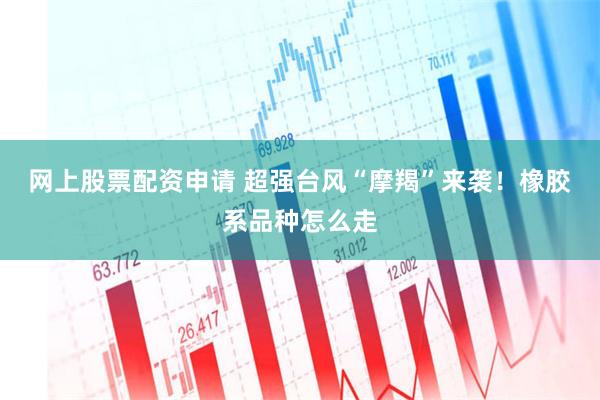 网上股票配资申请 超强台风“摩羯”来袭！橡胶系品种怎么走